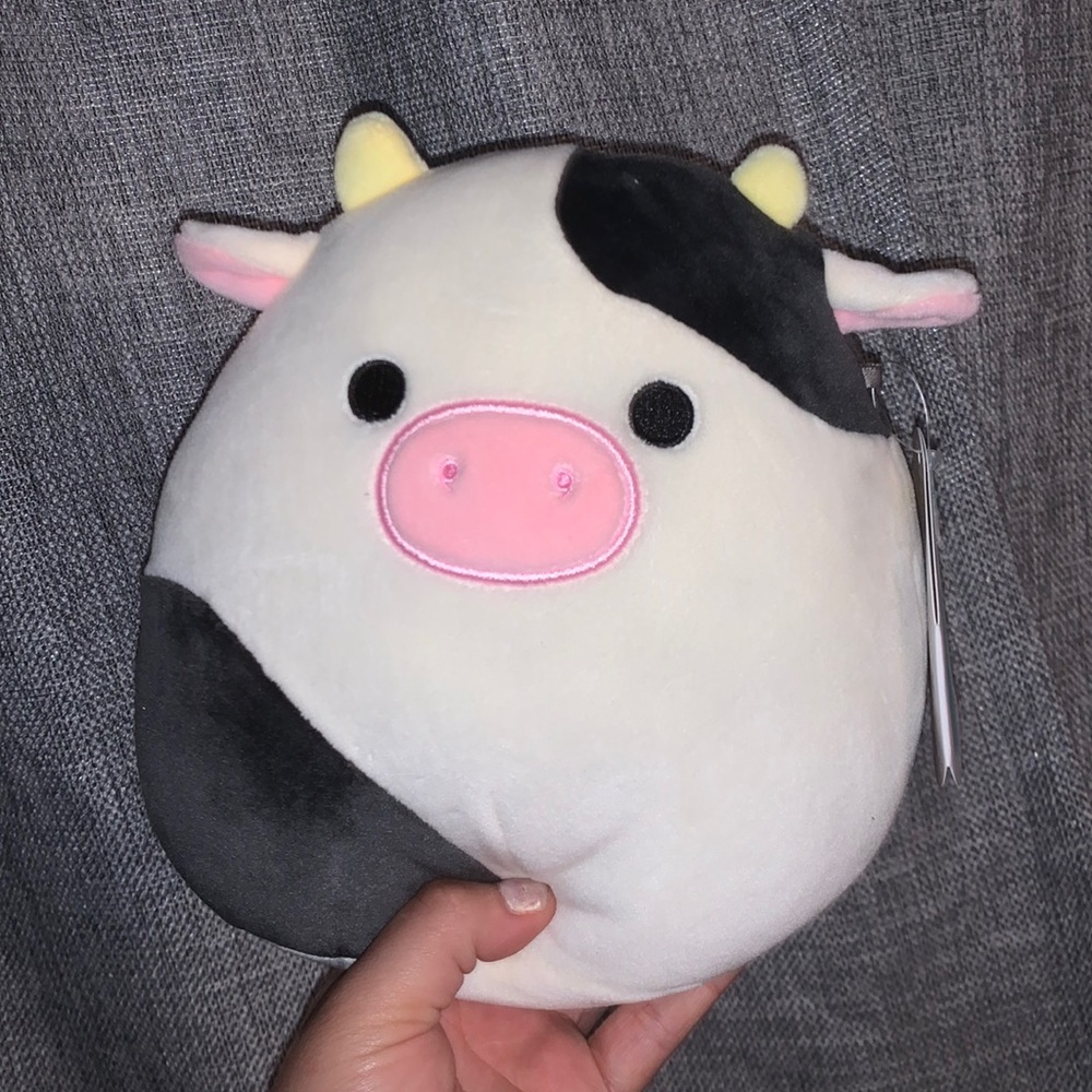 Black and white cow (Connor)